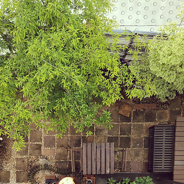 nikoさんの実例写真