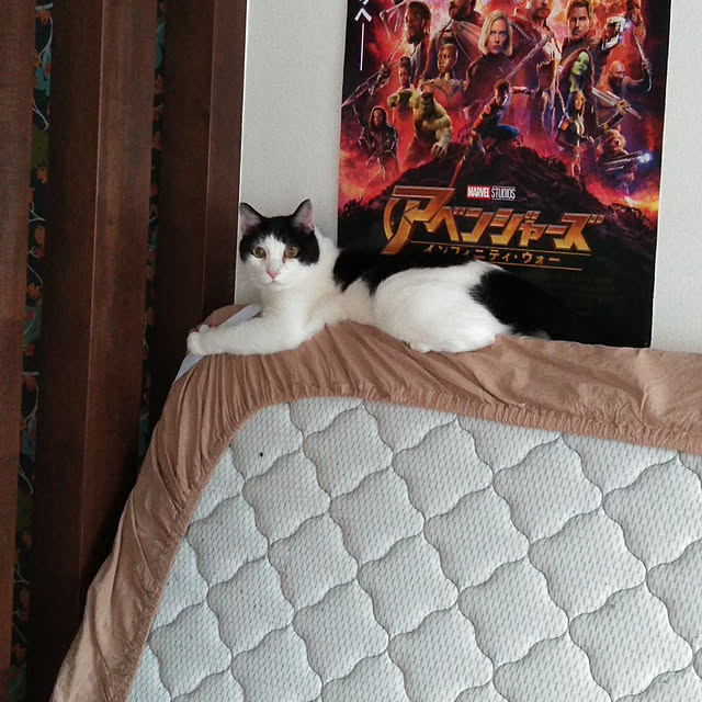 futukoさんの実例写真