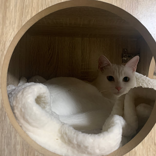 keiさんの実例写真
