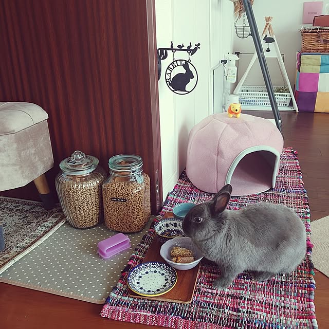 kirariさんの実例写真