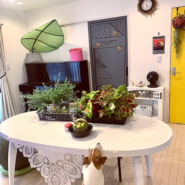 kittyさんの部屋