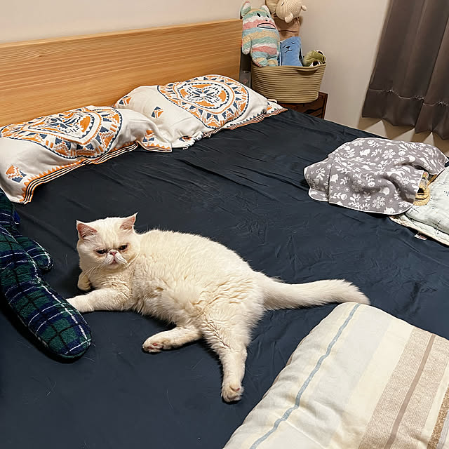Dorisさんの実例写真