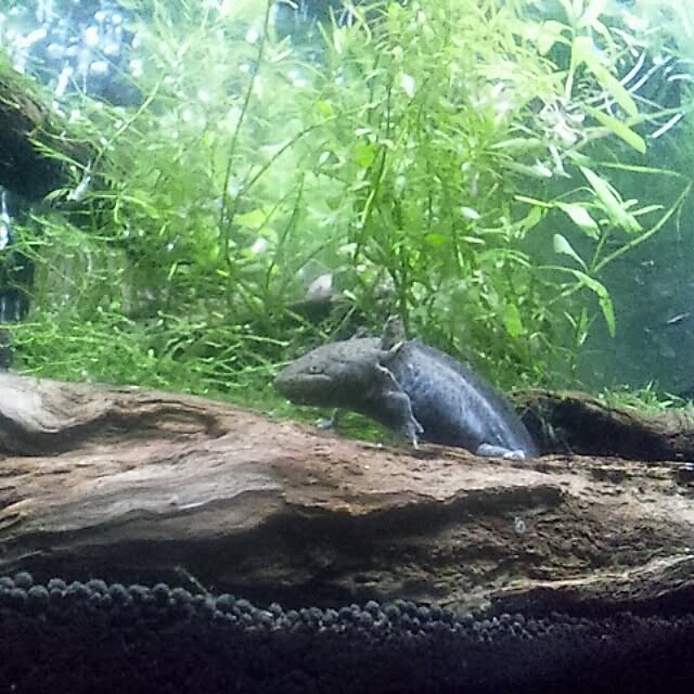 Tadaakiさんの実例写真