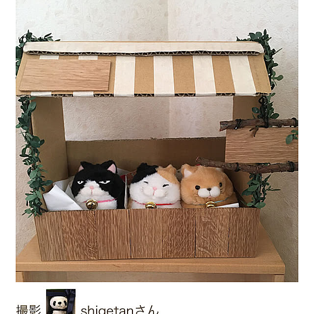 shigetanさんの実例写真