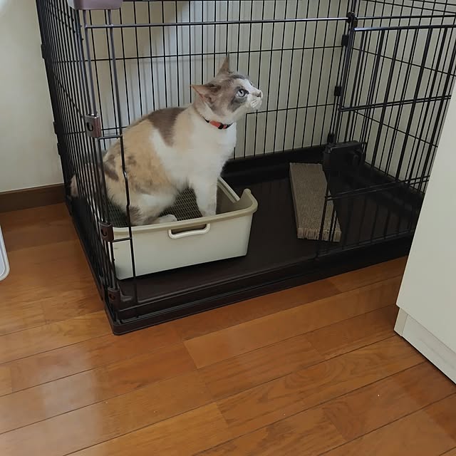 yochanさんの部屋