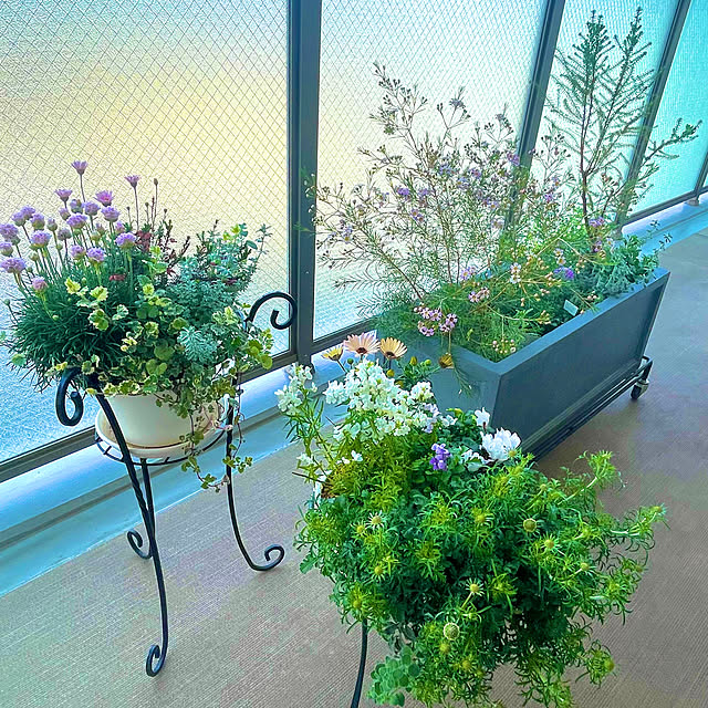 KLさんの部屋