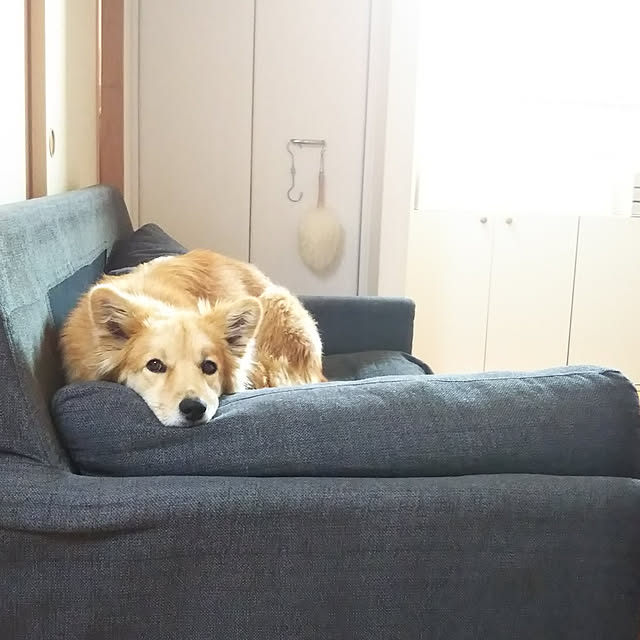 kaoriさんの実例写真