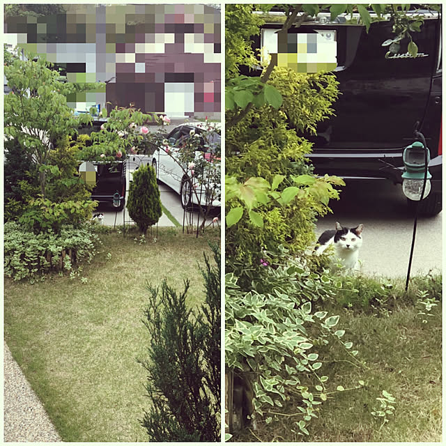 kuuchanさんの実例写真