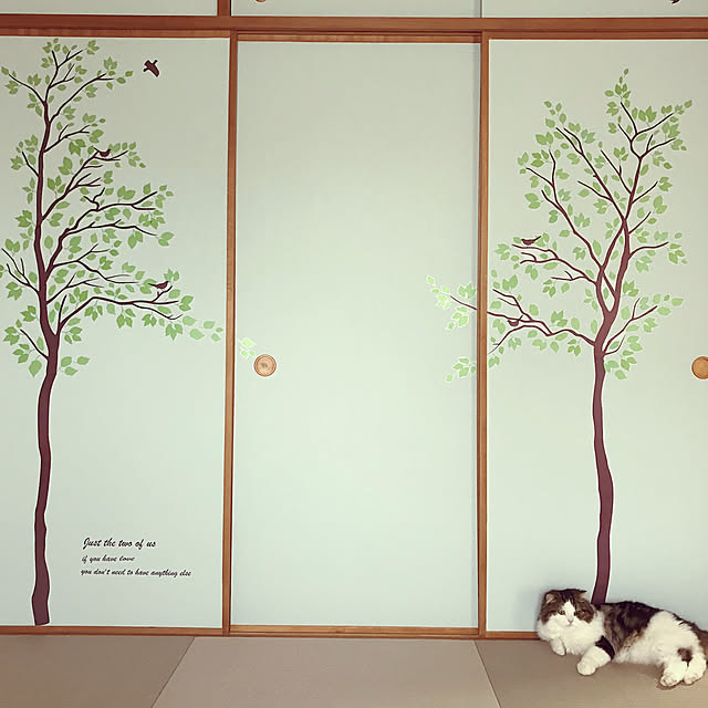 Ayakoさんの実例写真