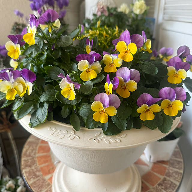 cocoさんの実例写真