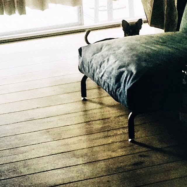 88さんの実例写真