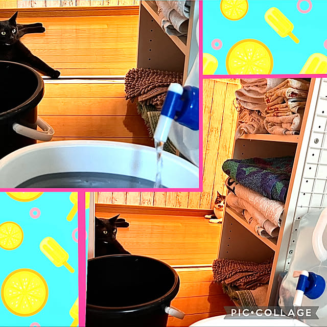 jijiさんの実例写真
