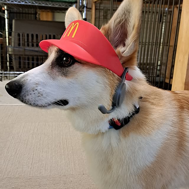 kazuraさんの実例写真