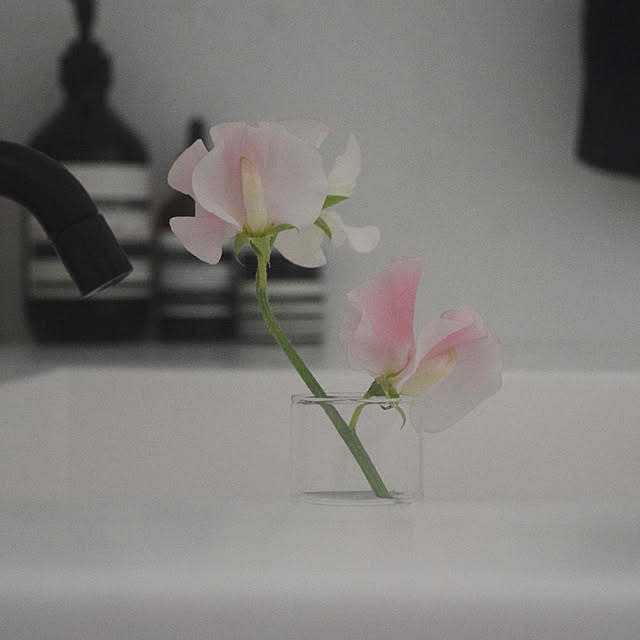 ookuraさんの実例写真