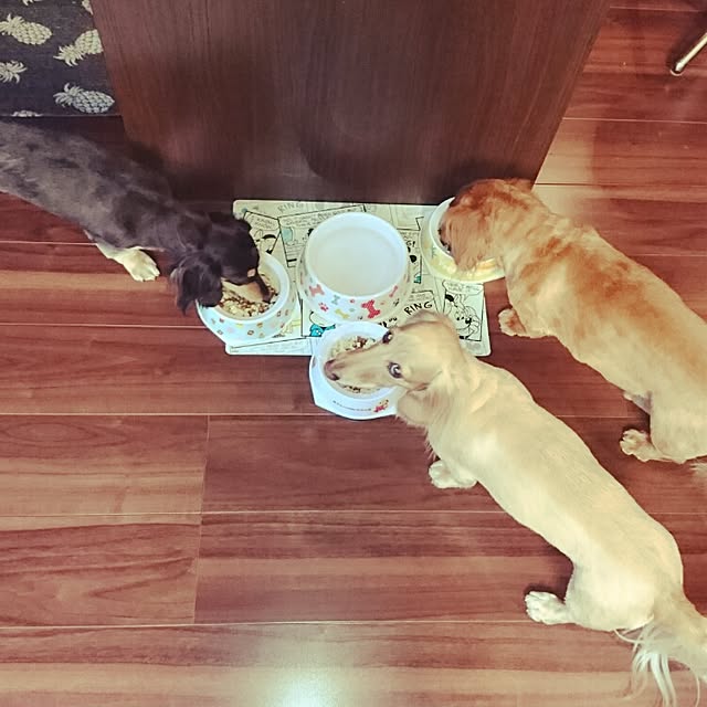 cocosorasakuさんの実例写真