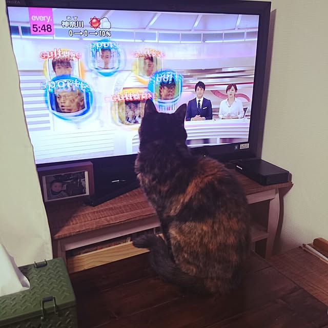mossさんの実例写真