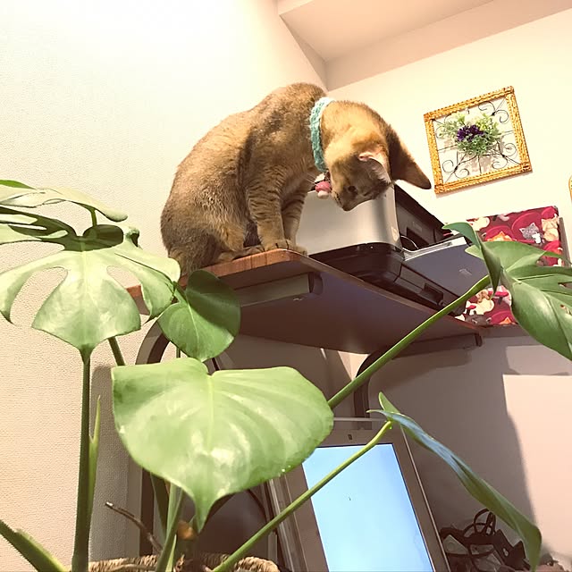 1633さんの実例写真
