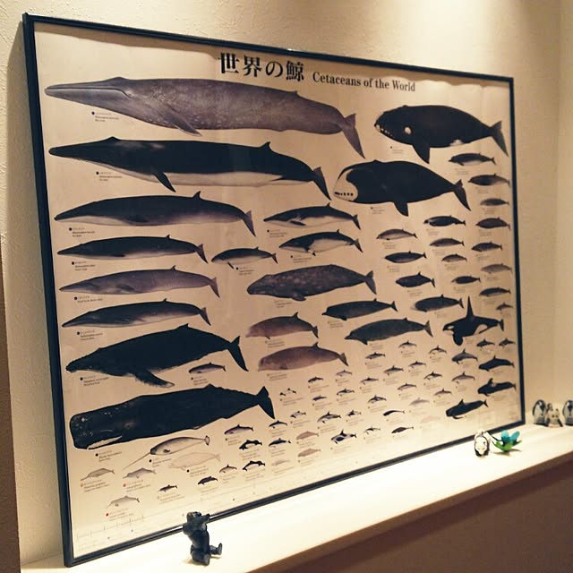 yuiticさんの実例写真