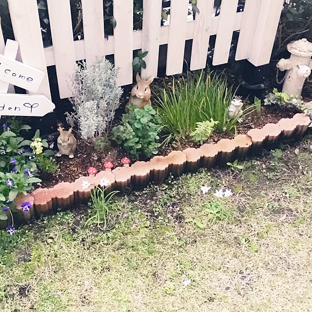 dodoさんの実例写真