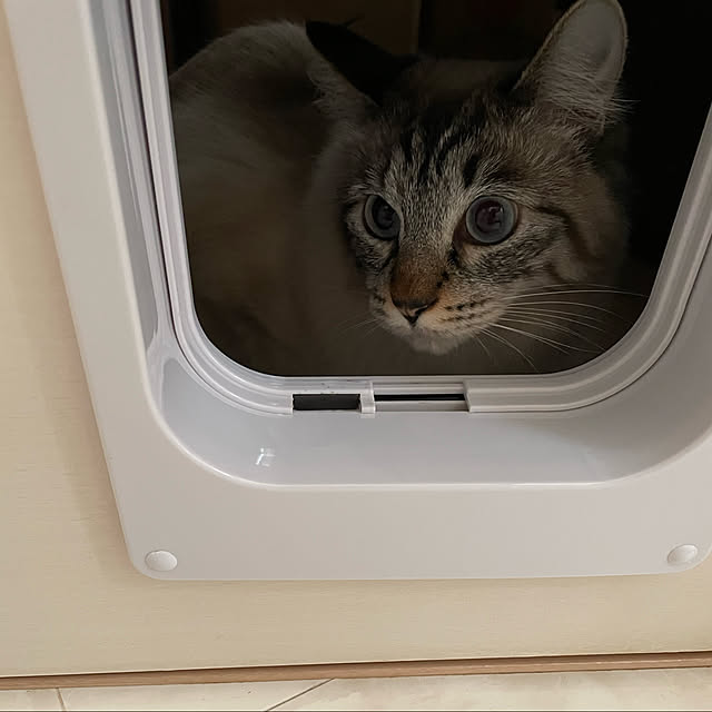 mochaさんの実例写真