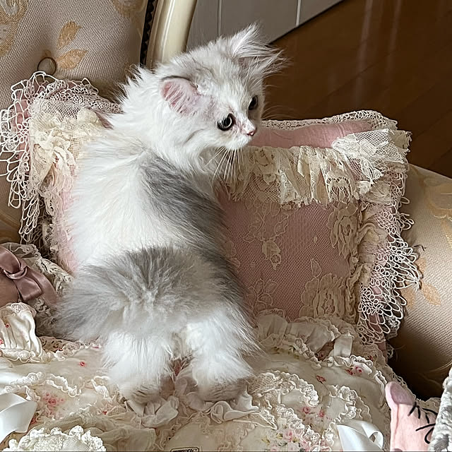 AYUKOさんの実例写真