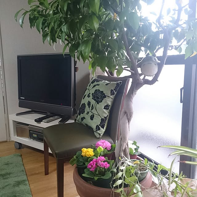 vanillaさんの実例写真