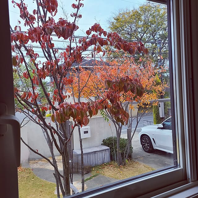 mutyukingさんの部屋
