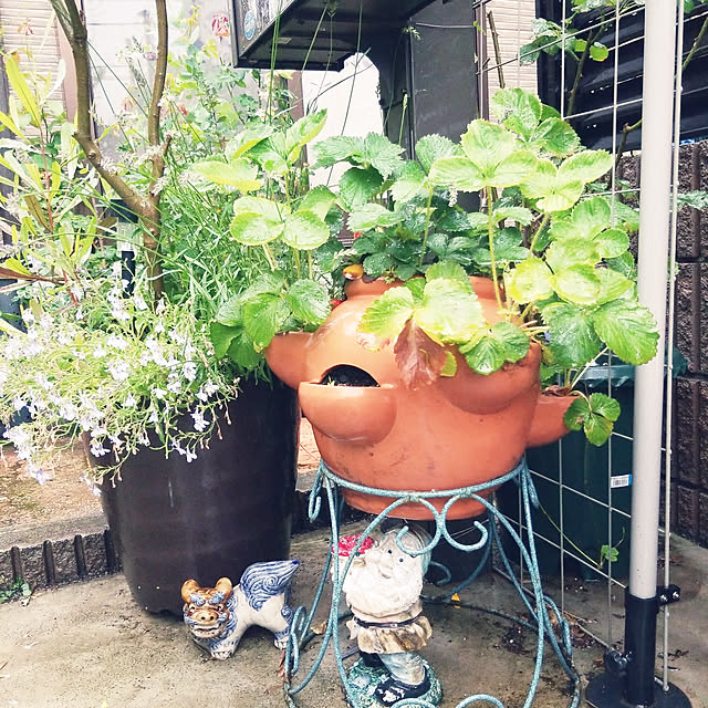 mimi828さんの実例写真