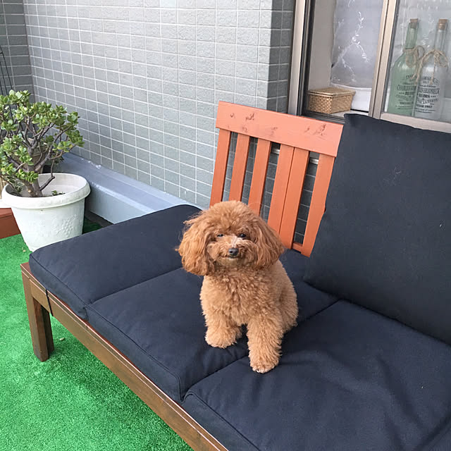 ISM.mumさんの実例写真