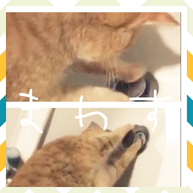 rumiさんの実例写真