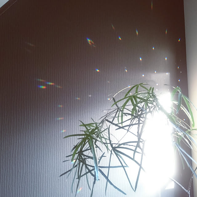 flowersさんの実例写真