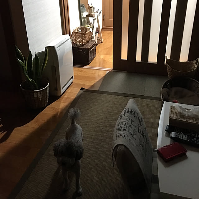 meguko.ryanさんの実例写真