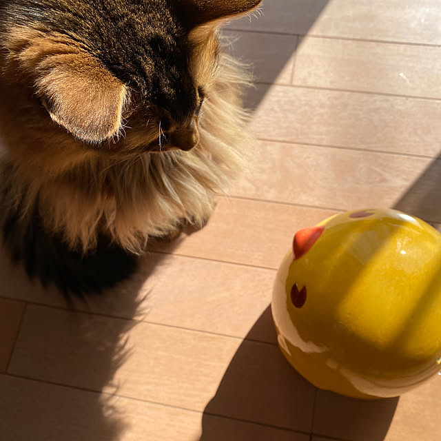 yuri.sさんの実例写真
