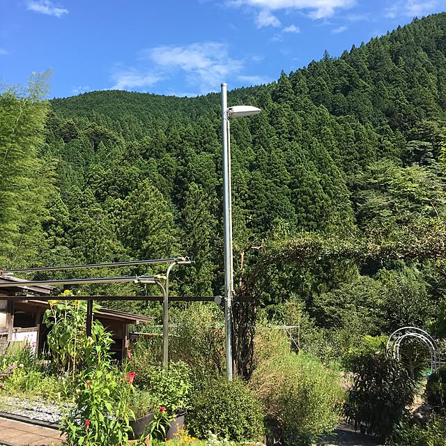harunoさんの実例写真