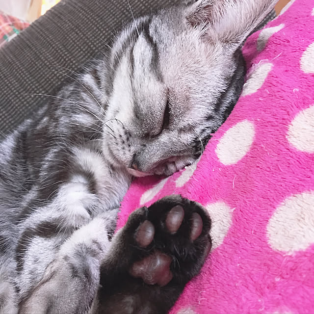 mirurunさんの実例写真