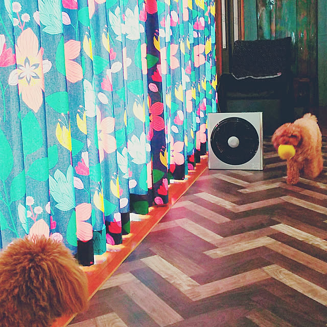 cherrycherryさんの実例写真