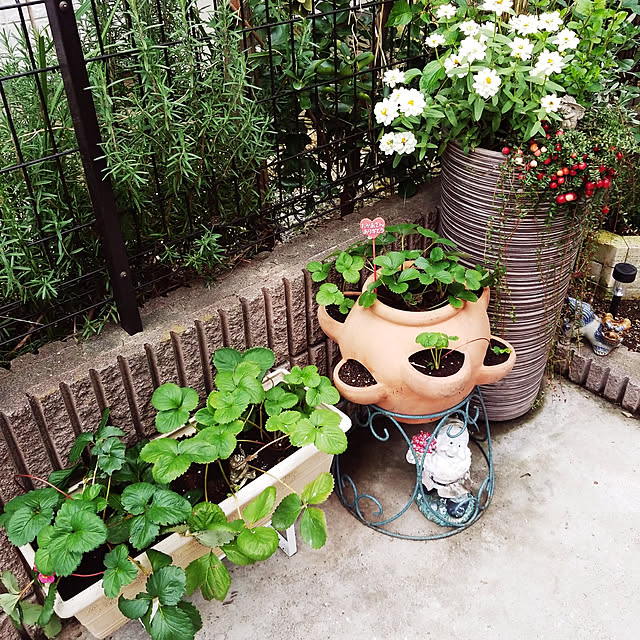 mimi828さんの実例写真
