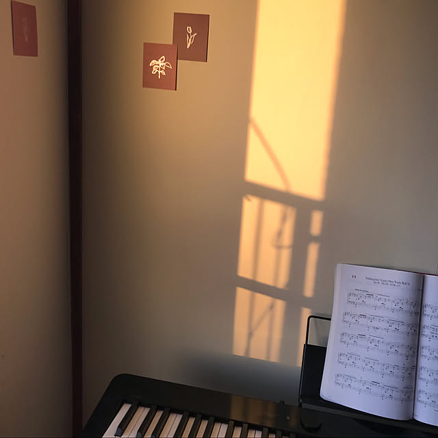 sunnyさんの実例写真
