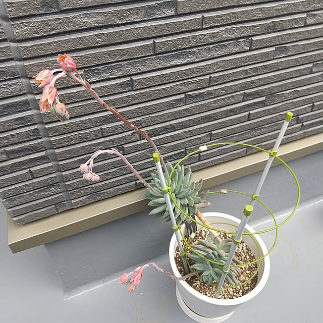 narikawaさんの部屋