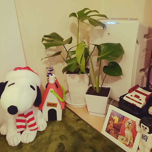 rinmarorinさんの実例写真