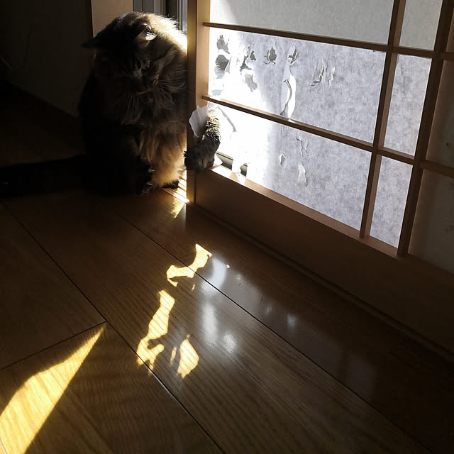 sayan_0321さんの実例写真