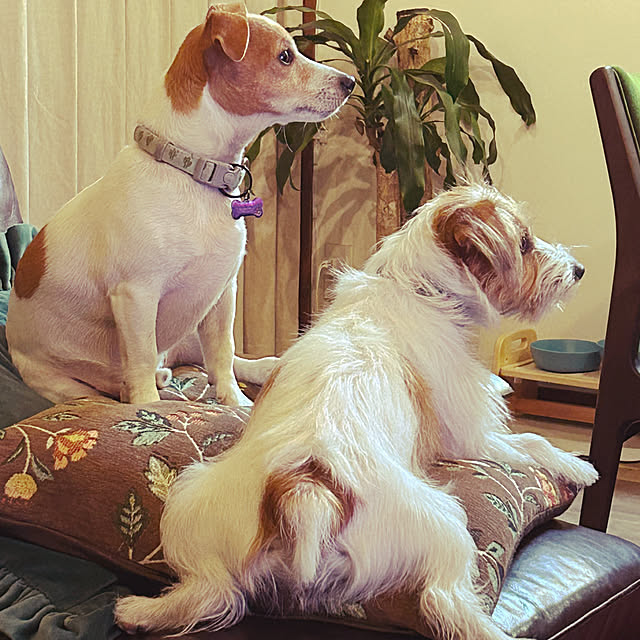 PU930さんの実例写真