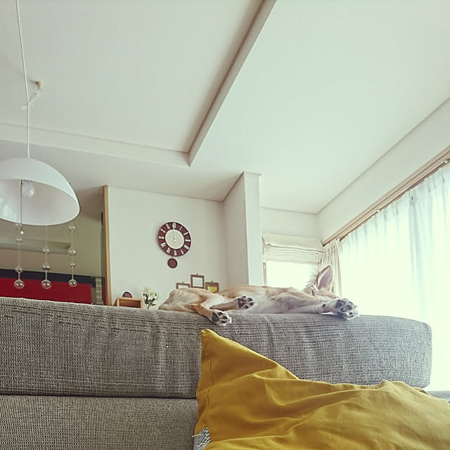 nattimomoさんの実例写真