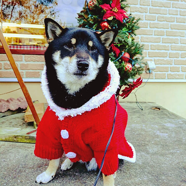 tsutawarimasuさんの実例写真