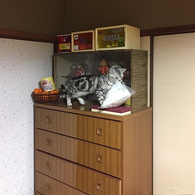 実例写真