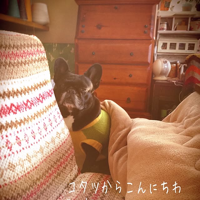 38coreさんの実例写真