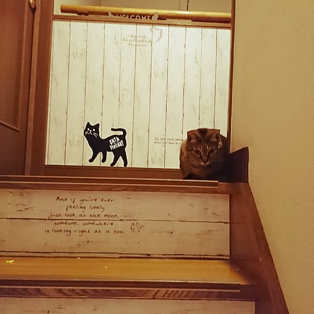 chirolさんの実例写真