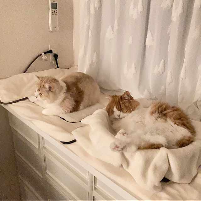 H.Tさんの実例写真