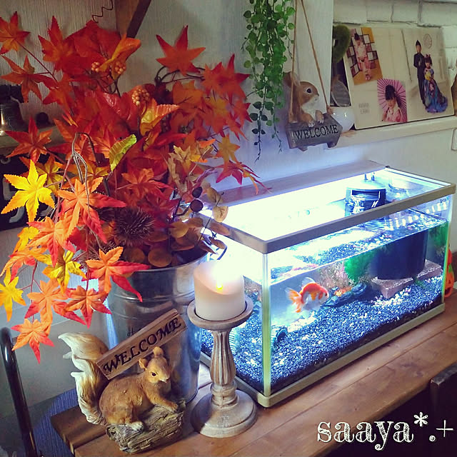 saayaさんの実例写真