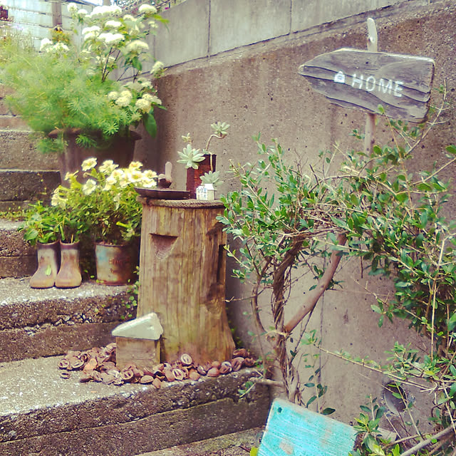 coppeさんの実例写真